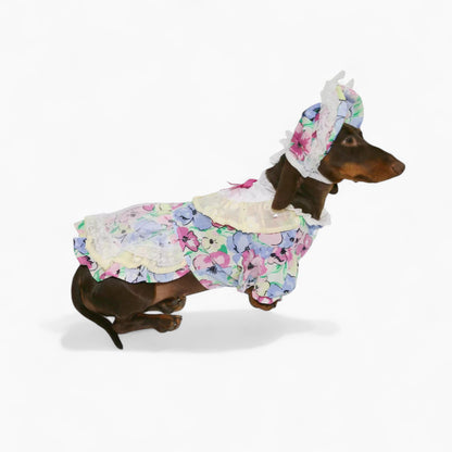 RetroLady-Dachshund-Dress-Set.jpg