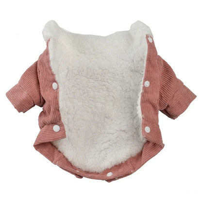 Ribbed-Velvet-Dachshund-Jacket-doxie.u