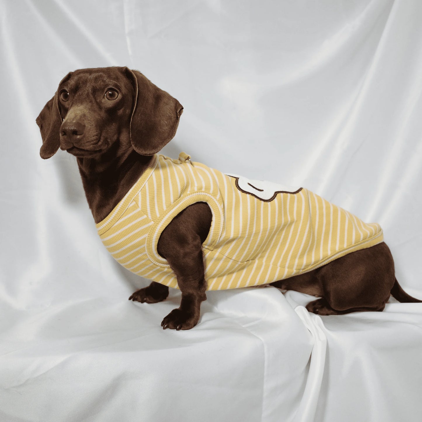 Dachshund Summer T-Shirt – Soft Striped Cotton Striped Vest