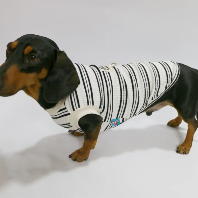Dachshund Sleeveless Shirt – Lightweight Cooling Striped Summer Vest