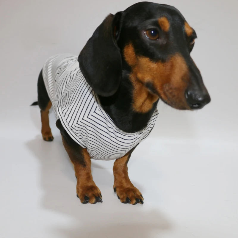 Dachshund Striped T-shirt – Lightweight Soft Cotton Cartoon Vest