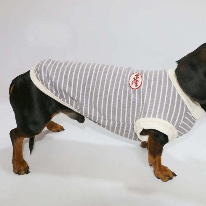 Dachshund Cotton T-Shirt – Lightweight Short-Sleeve Summer Outfit