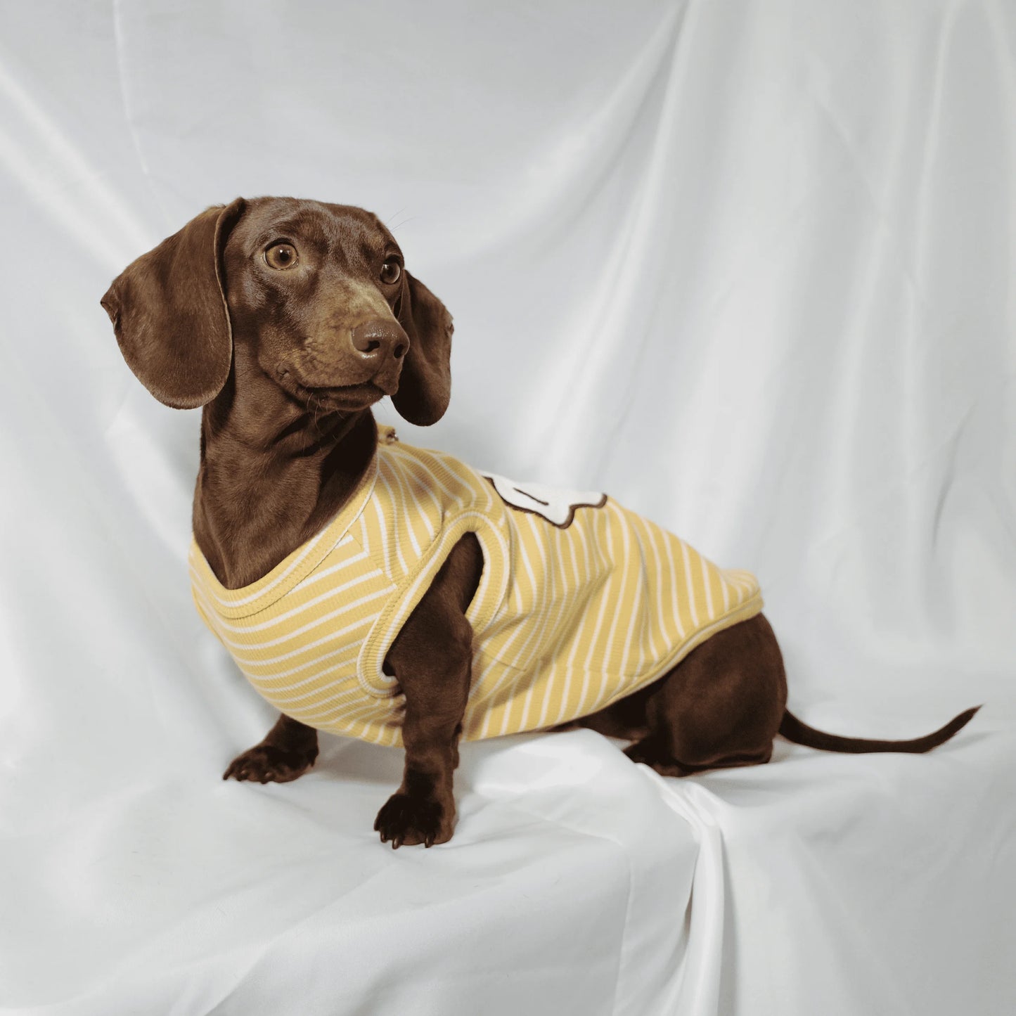 Dachshund Summer T-Shirt – Soft Striped Cotton Striped Vest