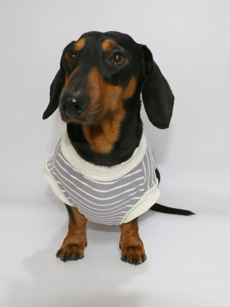 Dachshund Cotton T-Shirt – Lightweight Short-Sleeve Summer Outfit