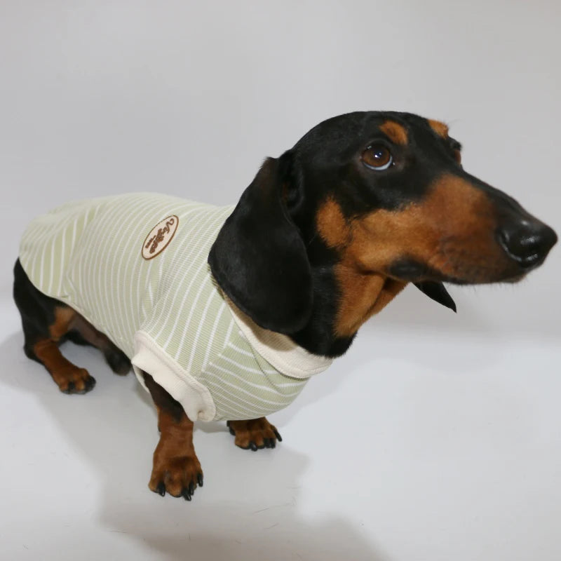 Dachshund Cotton T-Shirt – Lightweight Short-Sleeve Summer Outfit