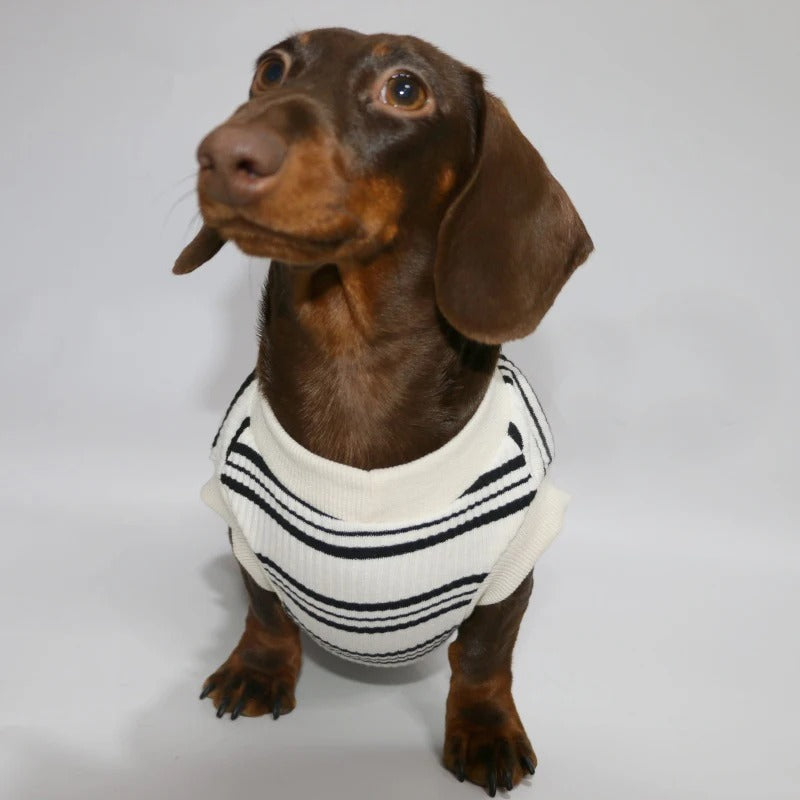 Dachshund Sleeveless Shirt – Lightweight Cooling Striped Summer Vest