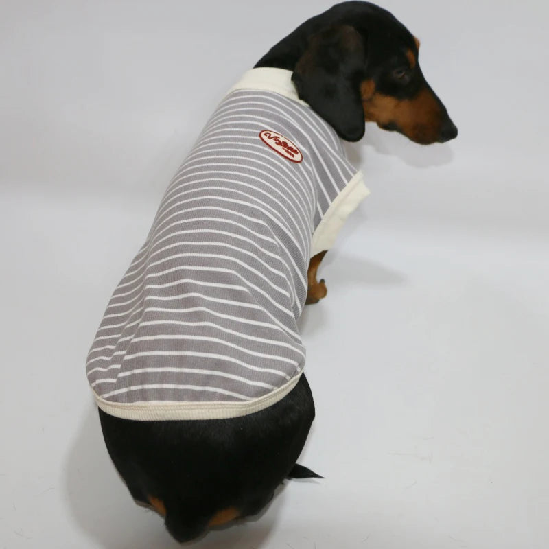 Dachshund Cotton T-Shirt – Lightweight Short-Sleeve Summer Outfit
