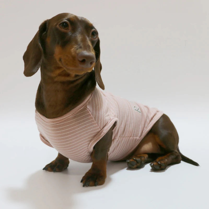 Dachshund Striped T-shirt – Lightweight Soft Cotton Cartoon Vest