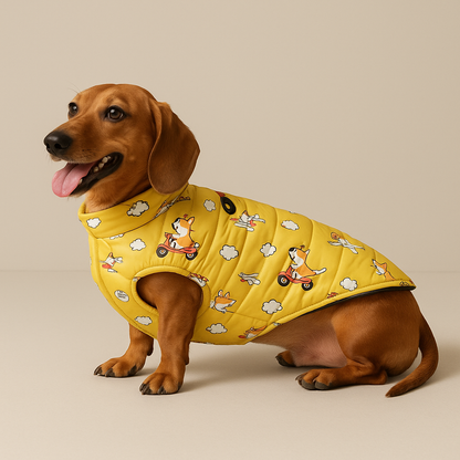 SantaDox-Festive-Dachshund-Christmas-Coat.jpg