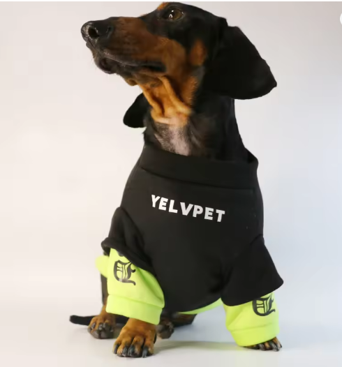 Dachshund Warm Sweater – Street Fashion Style Shirt Top