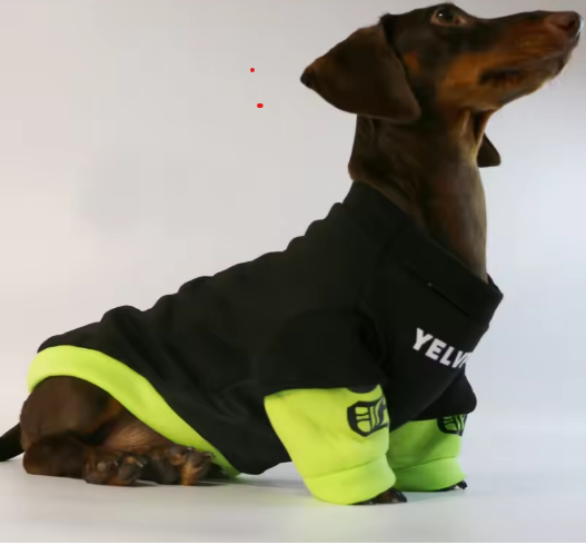 Dachshund Warm Sweater – Street Fashion Style Shirt Top