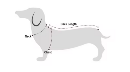 Dachshund Warm Sweater – Street Fashion Style Shirt Top