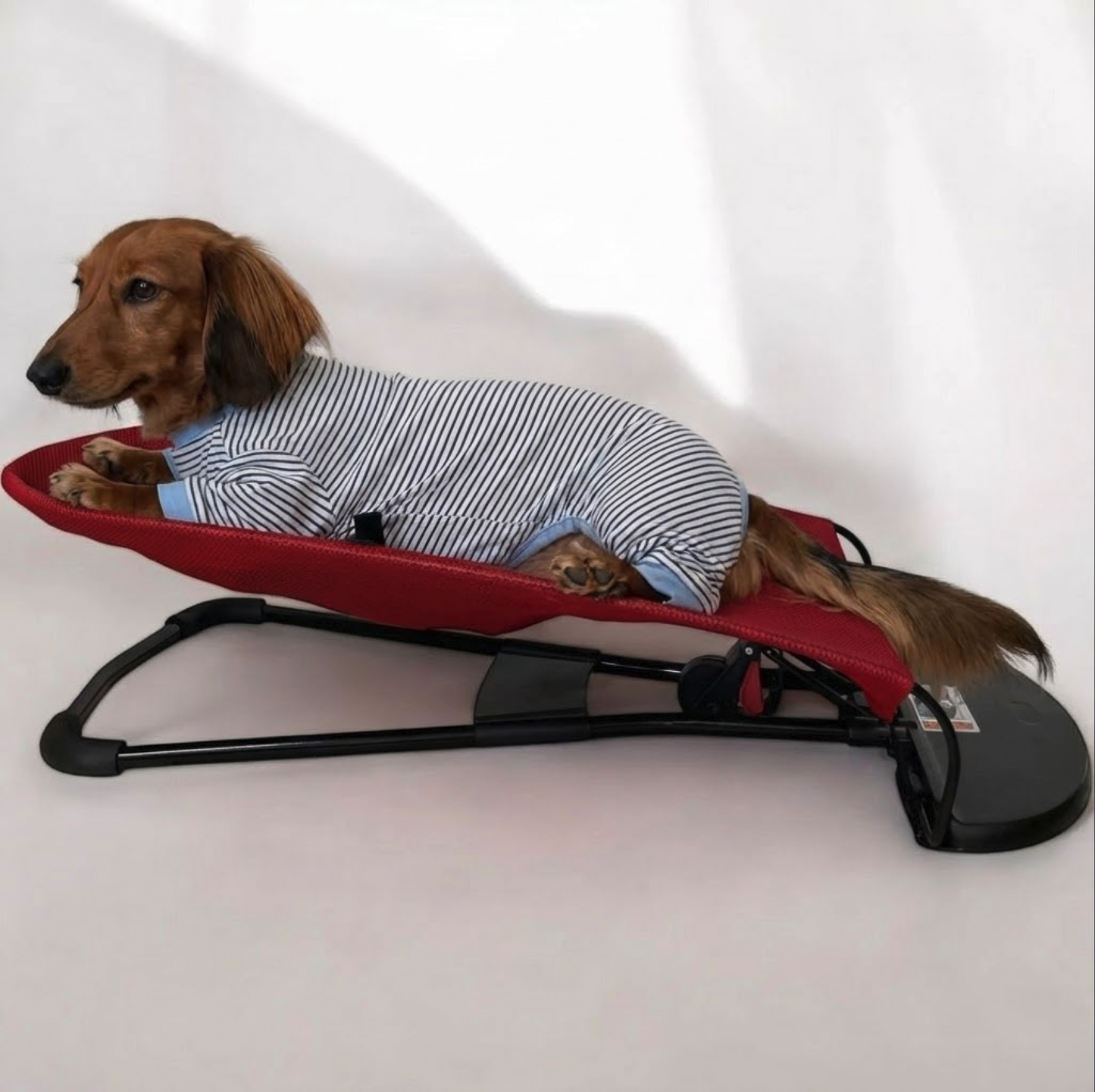 Portable Rocking Chair for Dachshund