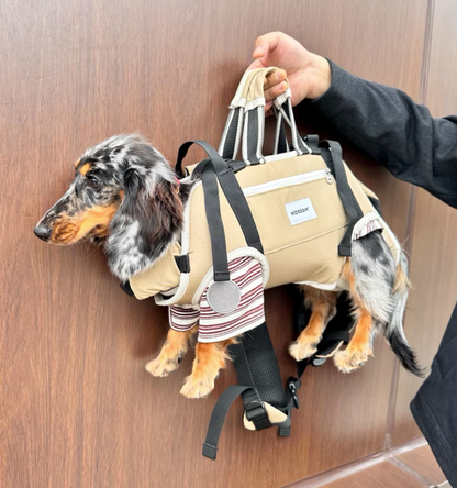 PawVentura dachshund backpack carrier with horizontal support, view 15