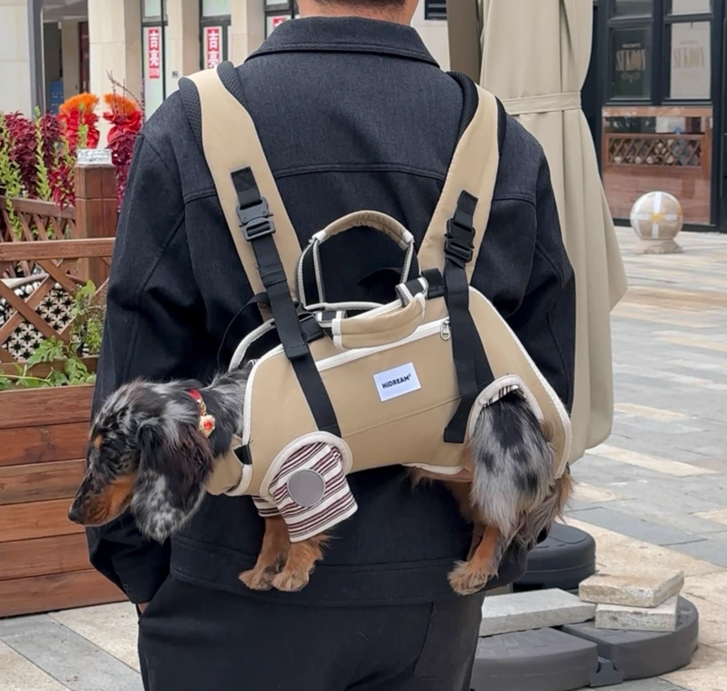 PawVentura Dachshund Backpack Carrier – Ergonomic Dog Carrier with Horizontal Support