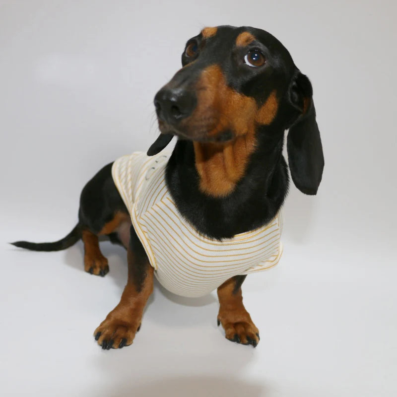 Dachshund Striped T-shirt – Lightweight Soft Cotton Cartoon Vest