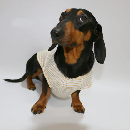 Dachshund Striped T-shirt – Lightweight Soft Cotton Cartoon Vest