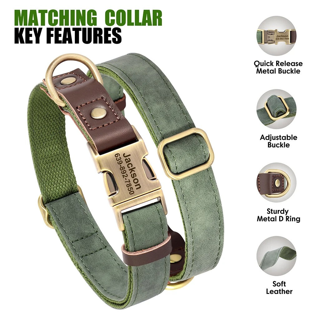 Dachshund Leather Collar with Leash – Personalized Engraved ID Adjustable