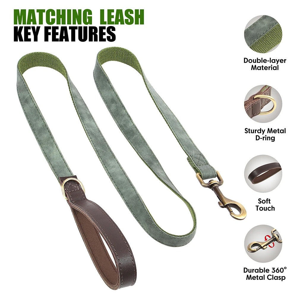 Dachshund Leather Collar with Leash – Personalized Engraved ID Adjustable