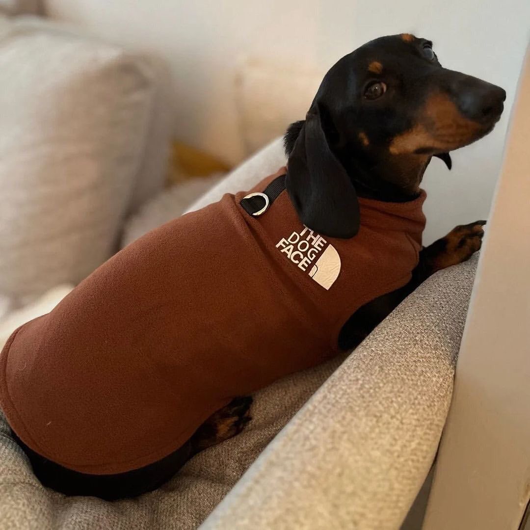 The Dog Face Dachshund Jacket Premium Fleece for Cold-Weather Comfort