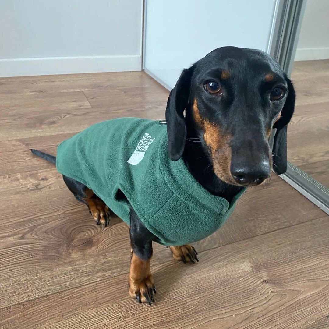 The Dog Face Dachshund Jacket Premium Fleece for Cold-Weather Comfort