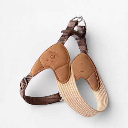 Snooza-Dachshund-Harness-Leash-Set.jpg