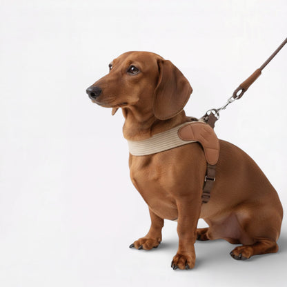 Snooza-Dachshund-Harness-Leash-Set.jpg