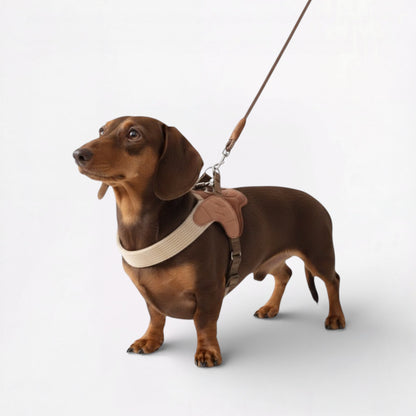 Snooza-Dachshund-Harness-Leash-Set.jpg