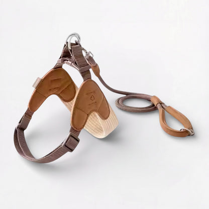 Snooza-Dachshund-Harness-Leash-Set.jpg