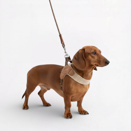 Snooza-Dachshund-Harness-Leash-Set.jpg