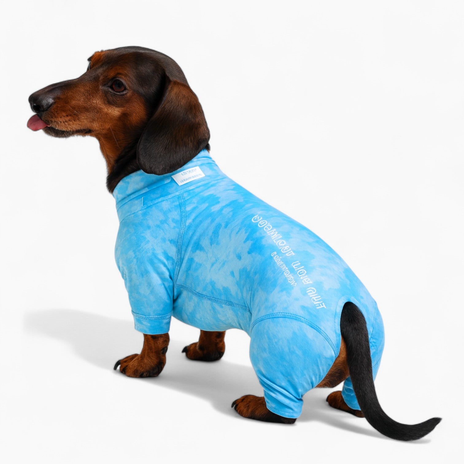 Snoozi-Dachshund-Pajamas.jpg