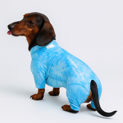 Snoozi-Dachshund-Pajamas.jpg