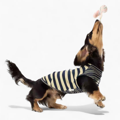 SnouTique-Dachshund-Striped-Vest.jpg