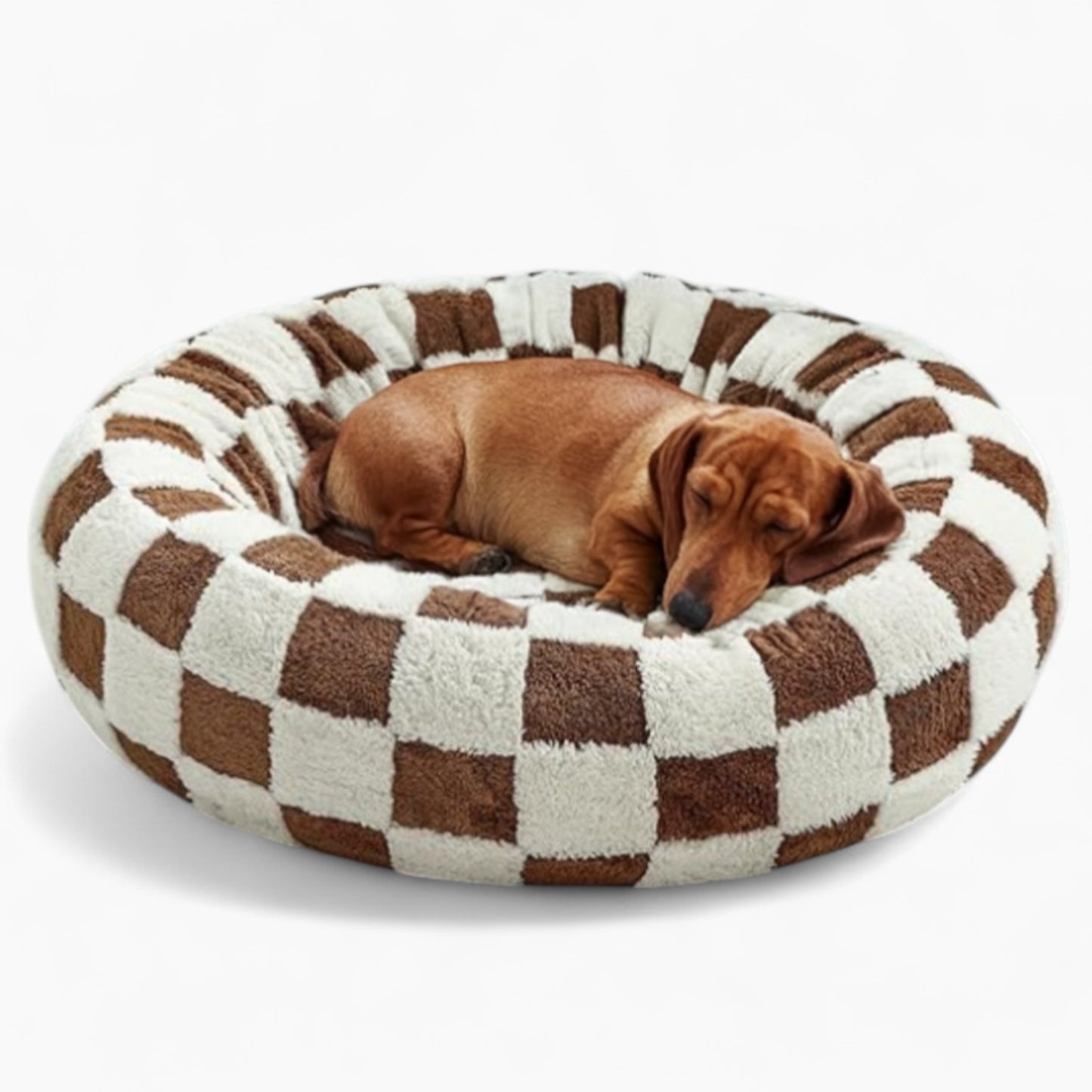 SnoutCircle-Dachshund-Bed.jpg