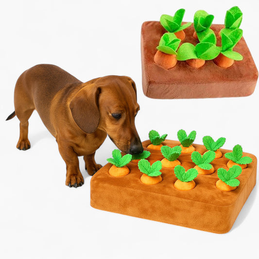 SnoutPatch-Dachshund-Carrot-Puzzle-Toy.jpg