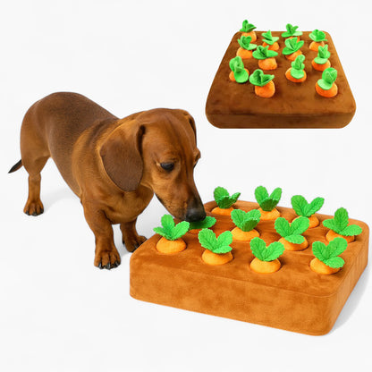 SnoutPatch-Dachshund-Carrot-Puzzle-Toy.jpg