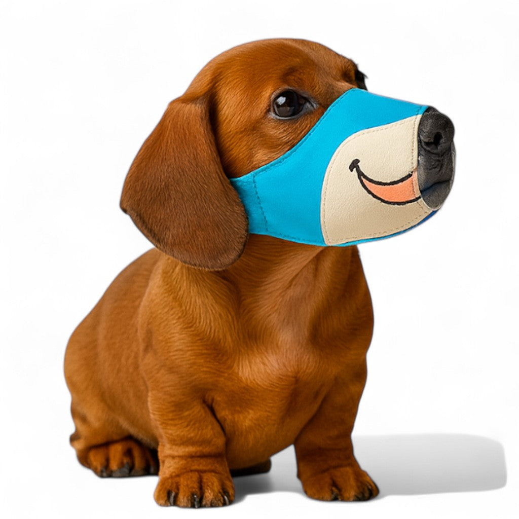 SnoutyPaws-Dachshund-Muzzle-Cover.jpg