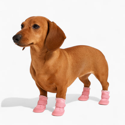 SnugglePaws-Dachshund-Warm-Boots.jpg
