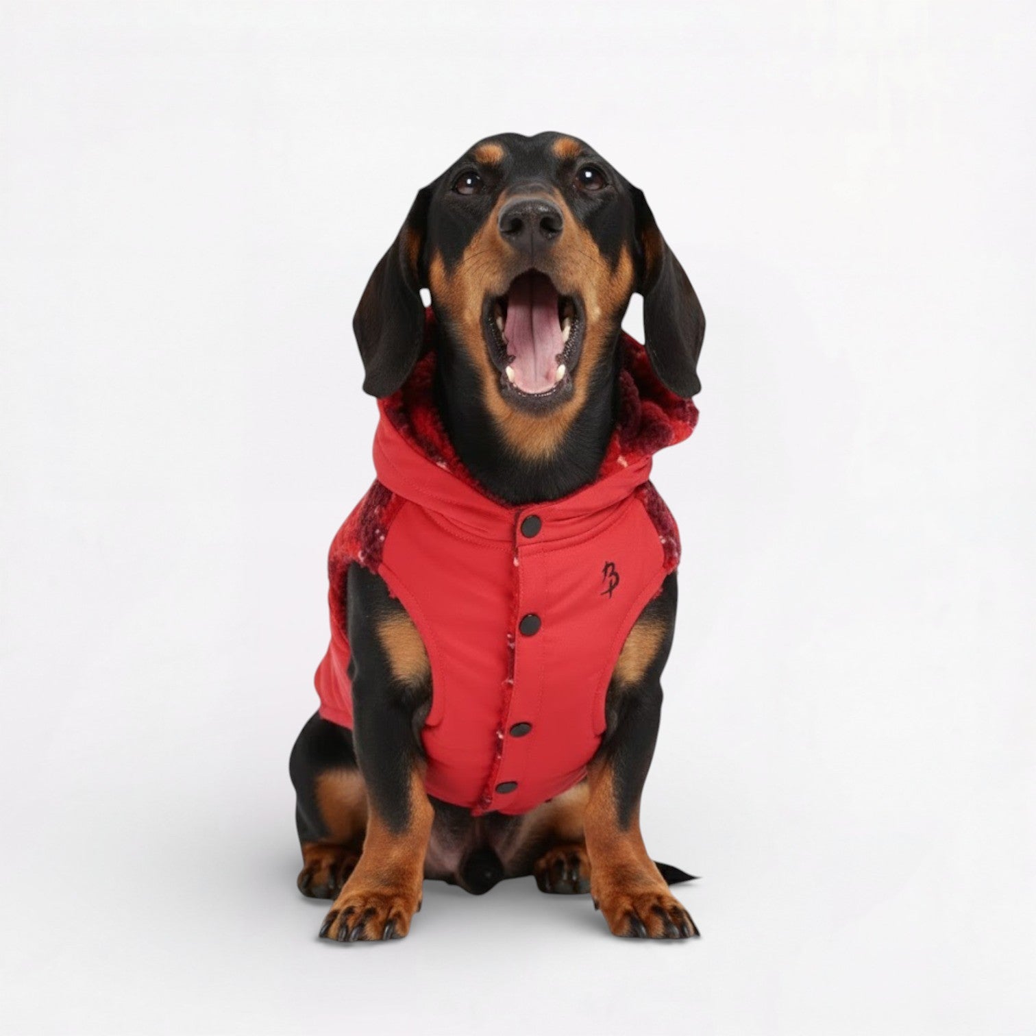 Snugsy-Dachshund-Warm-Vest.jpg