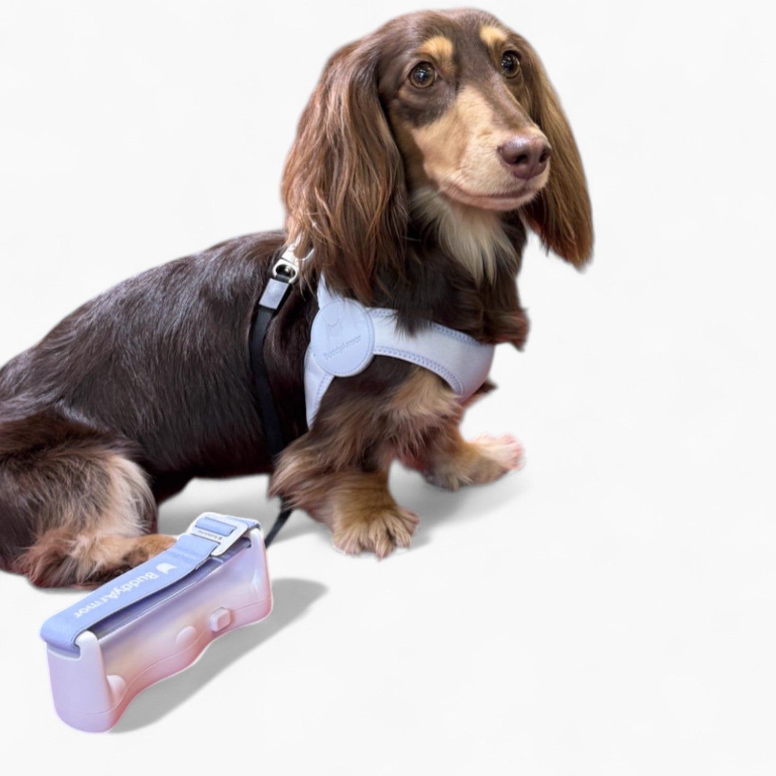 SoftFit-Dachshund-Harness-and-Leash.jpg