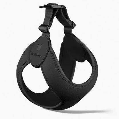 SoftFit-Dachshund-Harness-and-Leash.jpg