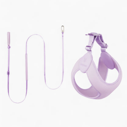 SoftFit-Dachshund-Harness-and-Leash.jpg