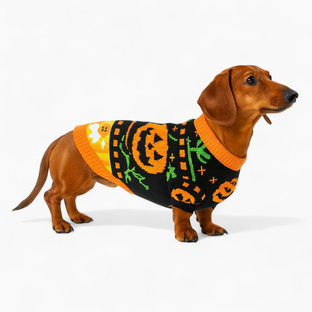SpookPup-Dachshund-Halloween-Sweater.jpg