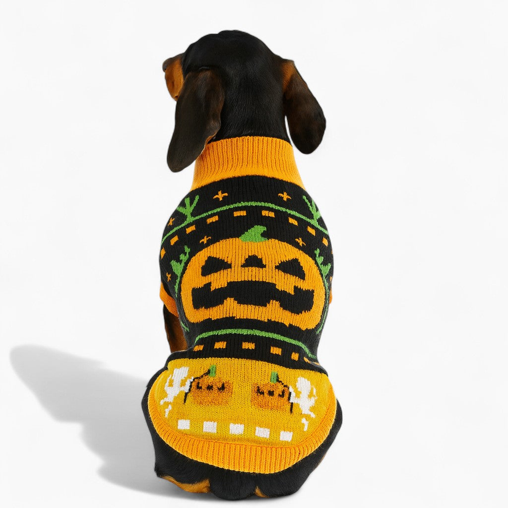 SpookPup-Dachshund-Halloween-Sweater.jpg