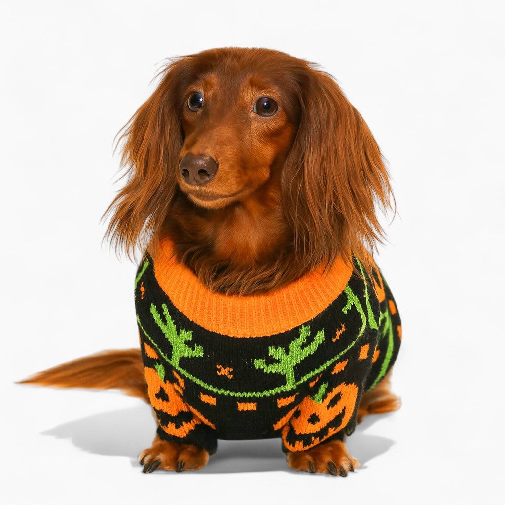 Halloween Dachshund Costumes Page 4 Dachshund Shop — free download