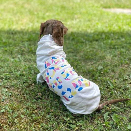 Stylish-Dachshund-ASPC-Hoodie-doxie.us