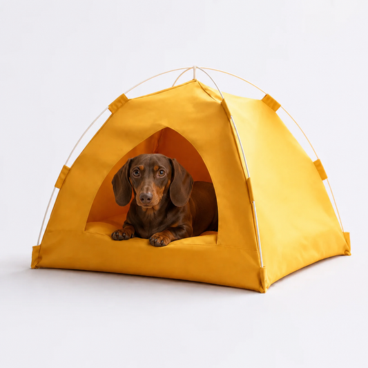 SunDox-Dachshund-Foldable-Tent-Bed.jpg