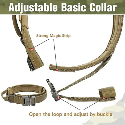 TactiPup™-Dachshund-Tactical-Collar-Leash.jpg