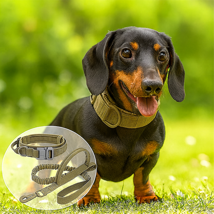 TactiPup™-Dachshund-Tactical-Collar-Leash.jpg
