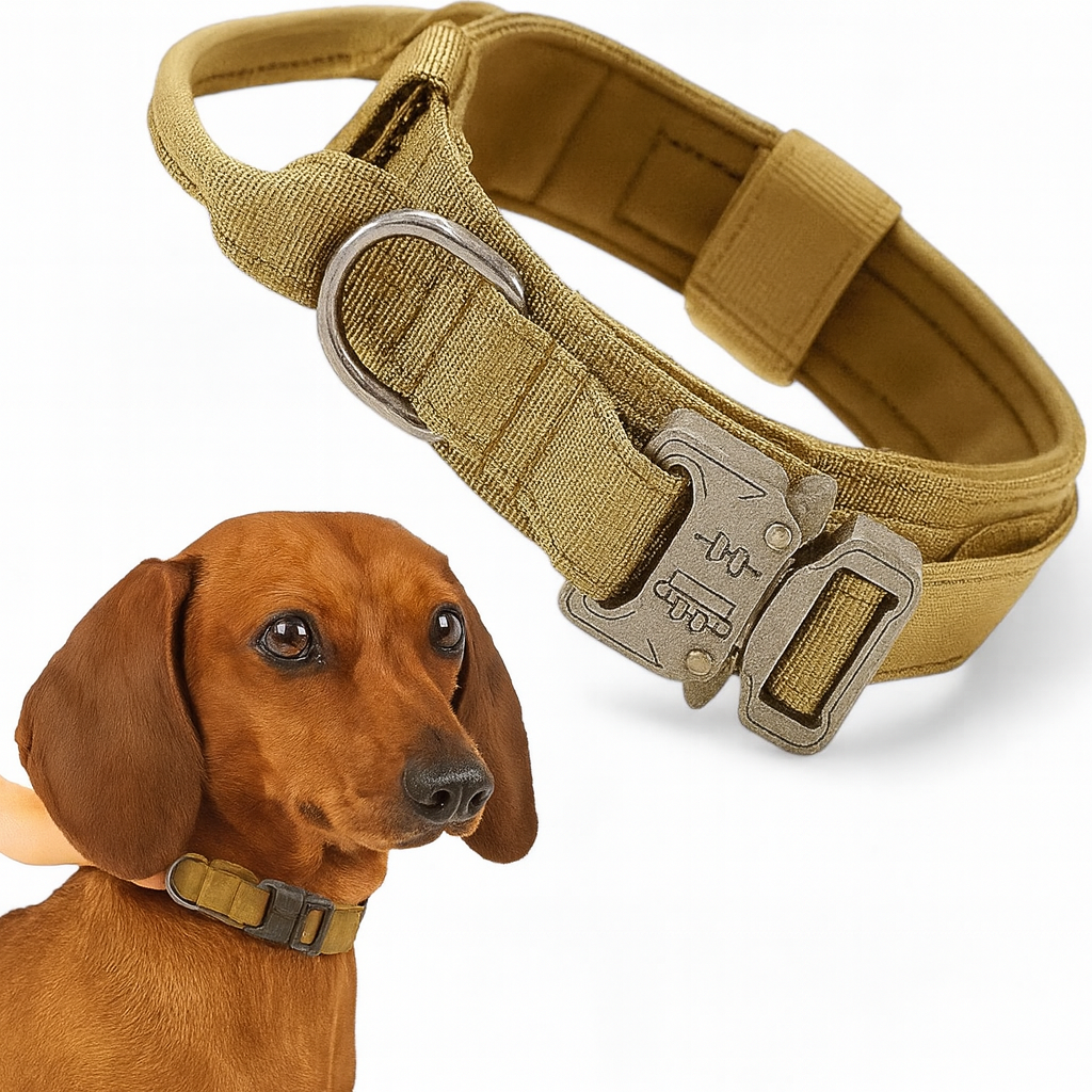 TactiPup™-Dachshund-Tactical-Collar-Leash.jpg